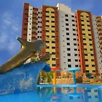 Flat P/4 Adultos Golden Dolphin Supreme
